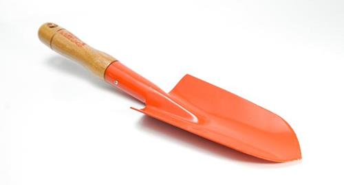 PALITA FERCAS PARA TRASPLANTE