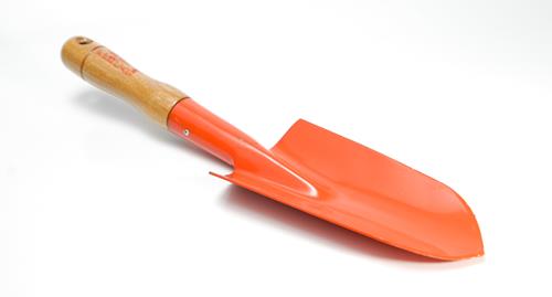 PALITA FERCAS PARA TRASPLANTE