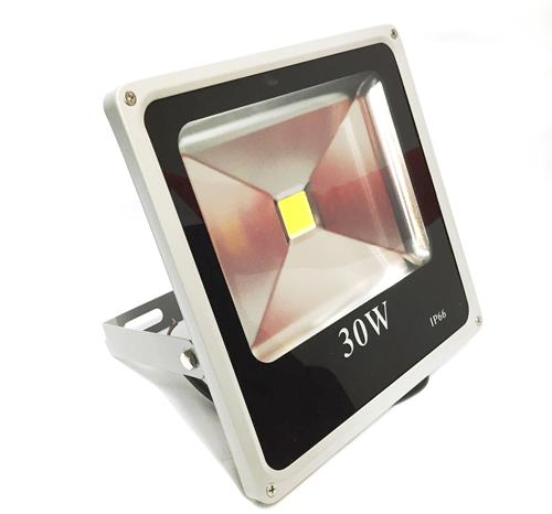 REFLECTOR LED CHATO N.E. 10 W. LUZ FRIA