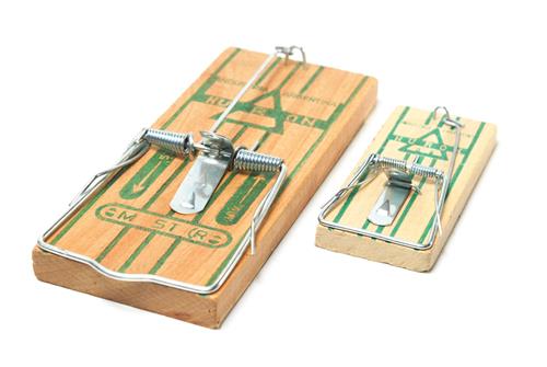 TRAMPERA DE MADERA HURON PARA LAUCHA